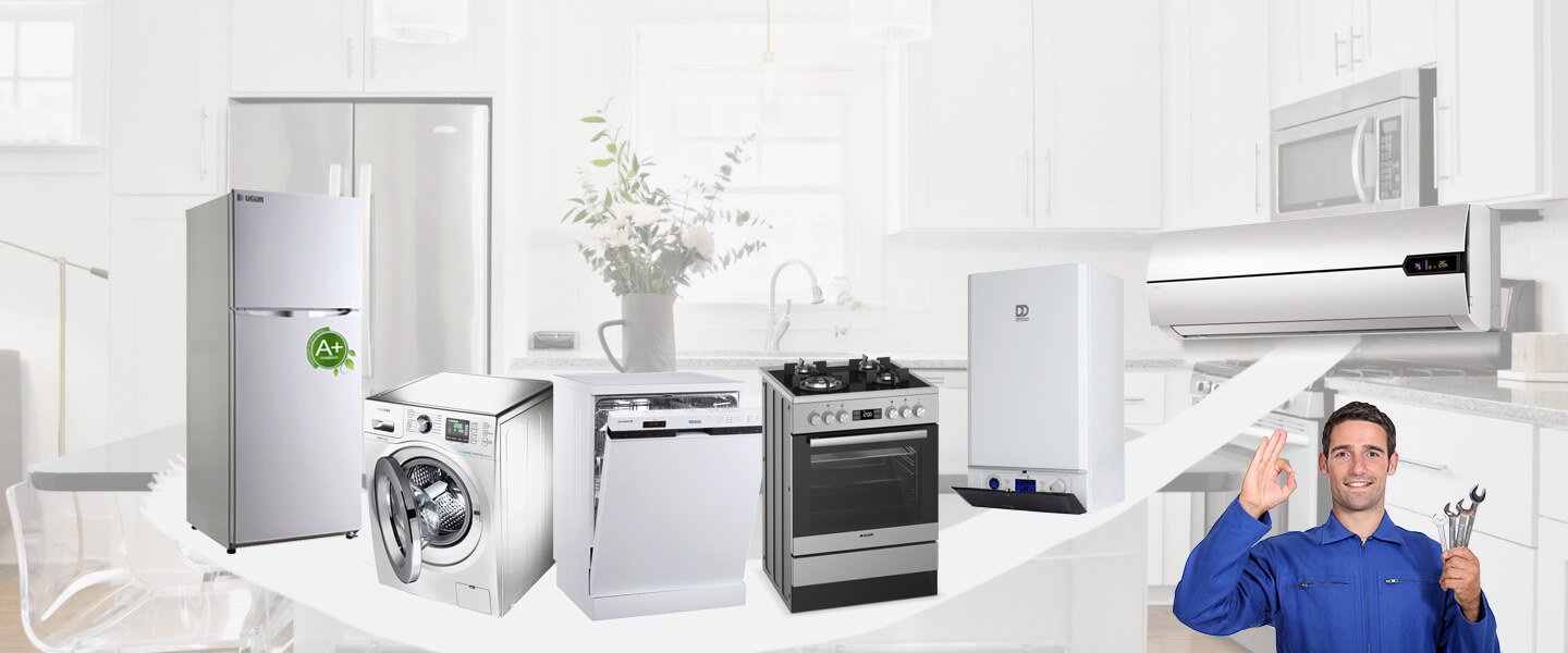 Fındıklı Silverline Servisi